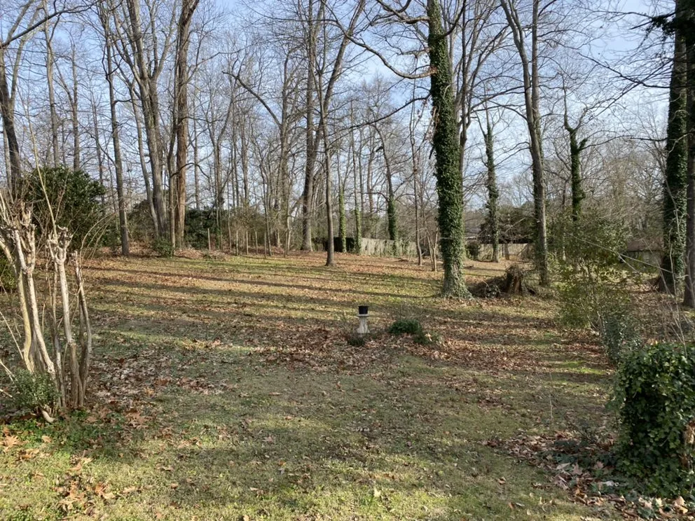 Custom yard cleanup service experts serving Atlanta, GA - Blount’s Lawn Care Solutions