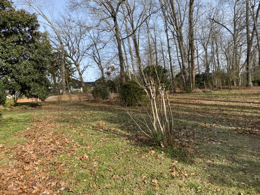 Trusted residential landscaping in Atlanta, GA by Blount’s Lawn Care Solutions