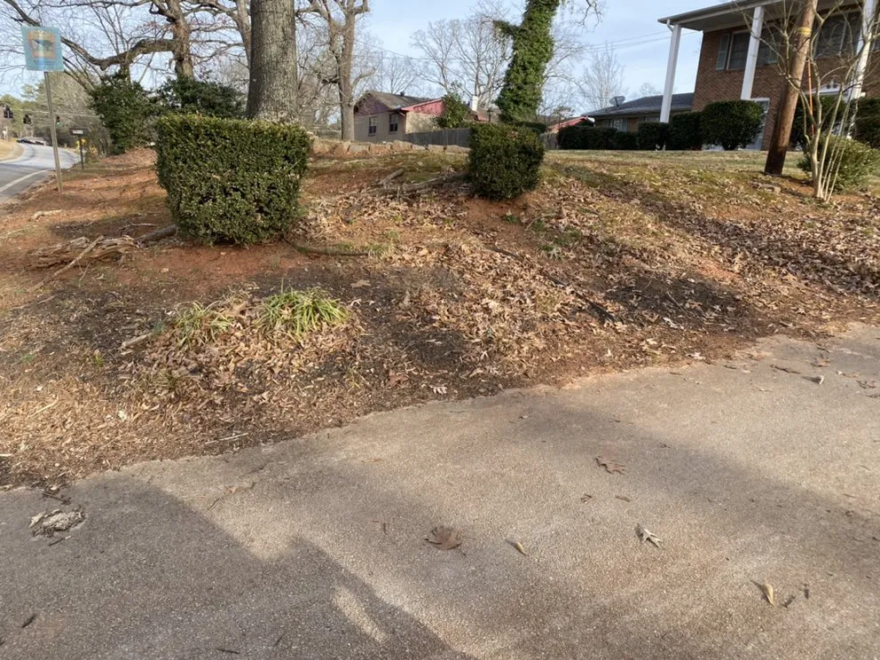 Expert landscape design for homes in Atlanta, GA by Blount’s Lawn Care Solutions