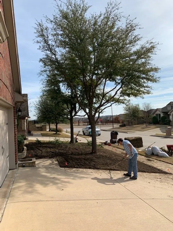 Professional lawn care service in Arlington, TX by Blount's Sod Installation