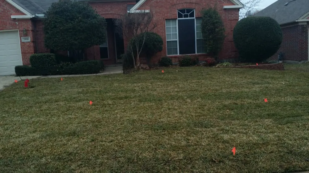 Professional yard cleanup service for year-round maintenance in Arlington, TX by Blount's Sod Installation