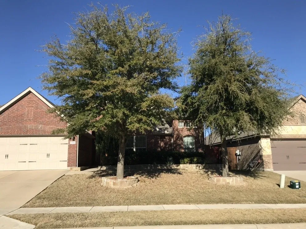 Local outdoor landscaping in Arlington, TX by Blount's Sod Installation