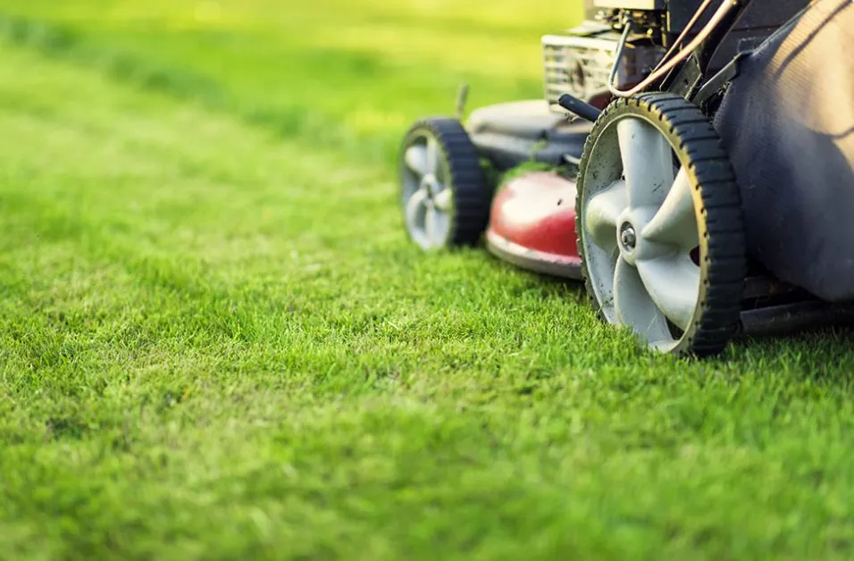 Affordable landscaping services with custom design across Kingsland, GA - Blow Clean