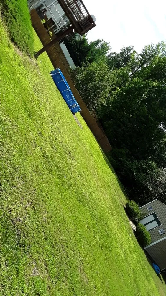 Professional landscape installation in Clover Hill, VA - Blow N Go Lawn Services