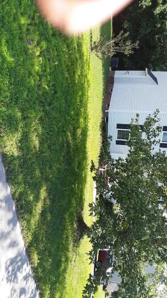 Local yard cleanup service near you across Clover Hill, VA - Blow N Go Lawn Services