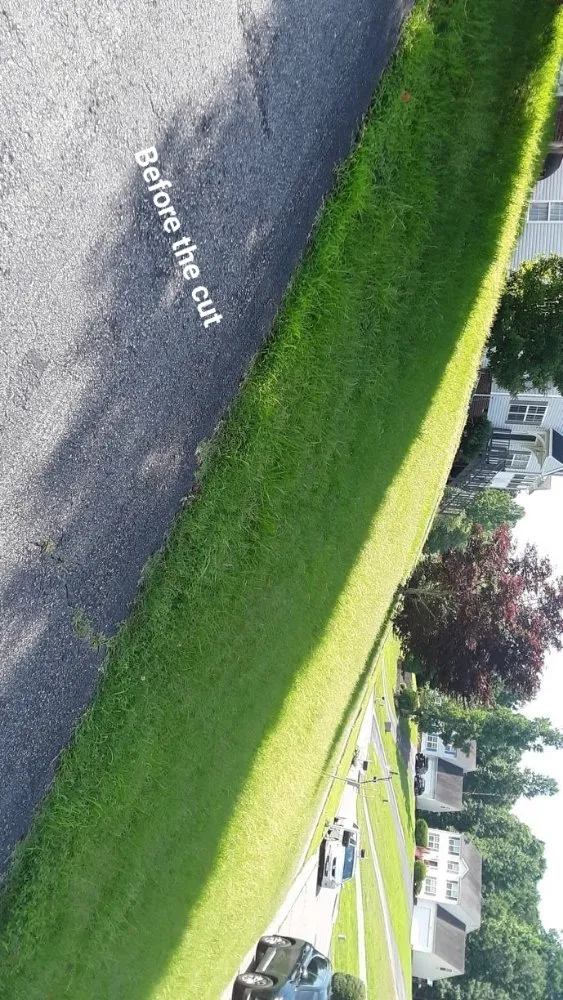 Top-rated yard cleanup service experts serving Clover Hill, VA - Blow N Go Lawn Services