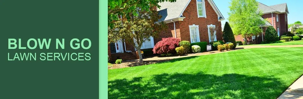 Local yard cleanup service experts serving Clover Hill, VA - Blow N Go Lawn Services