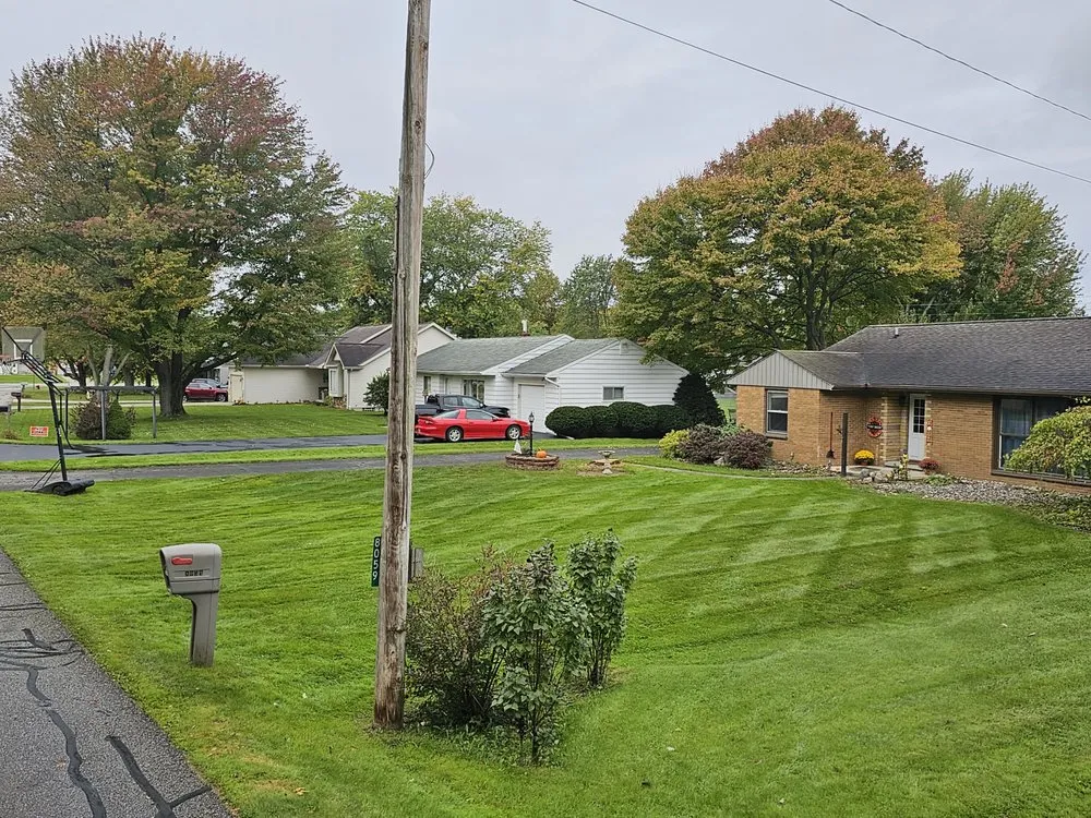Professional landscaping services near you in Mount Morris, MI by Blowin Grass Lawn And Landscaping