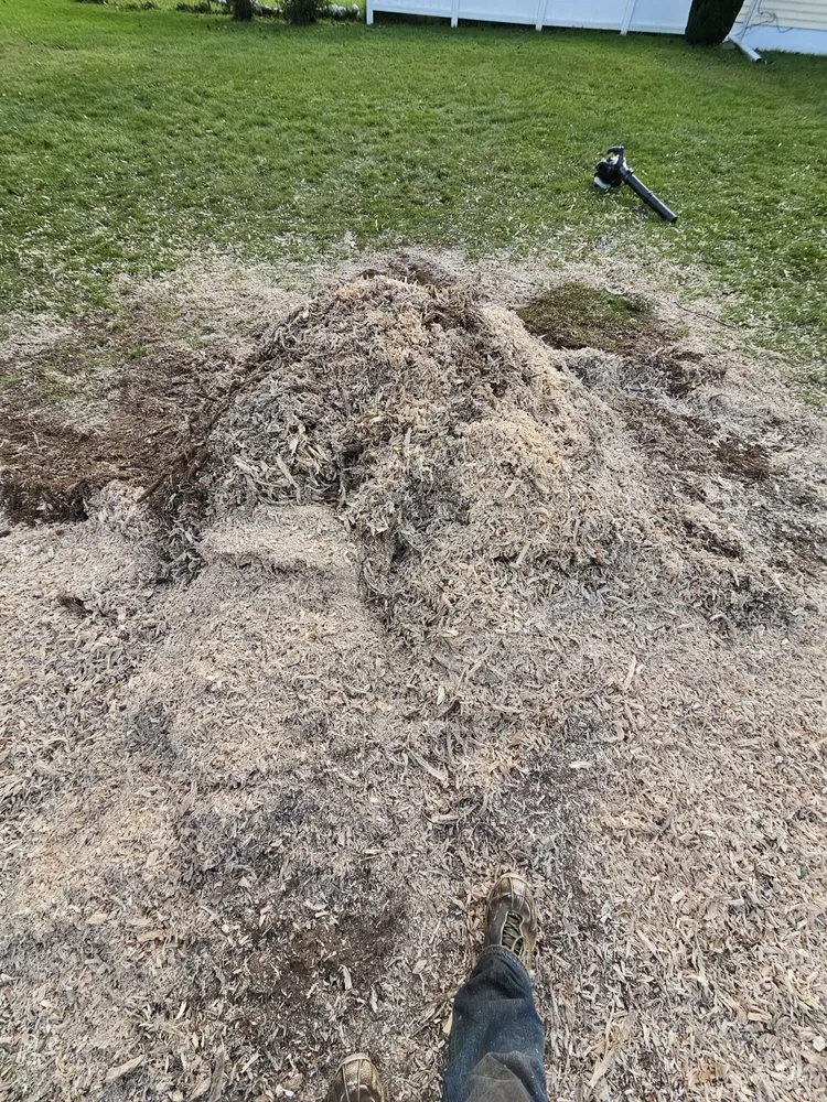 Reliable landscaping services in Mount Morris, MI by Blowin Grass Lawn And Landscaping