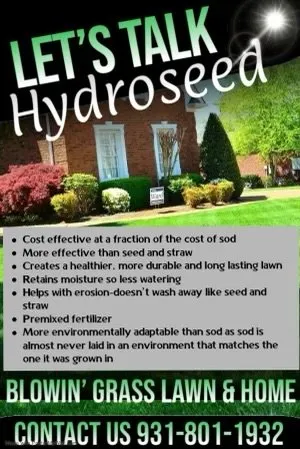 Reliable lawn care service with custom design in Clarksville, TN by Blowin Grass Lawncare