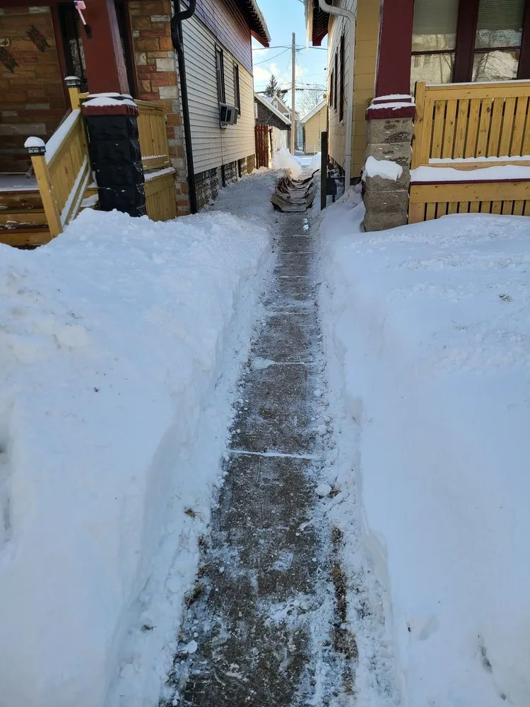 Professional landscape installation in Milwaukee, WI - Blown Away