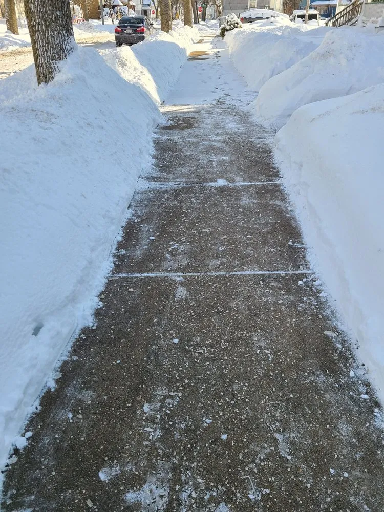 Custom landscaping services experts serving Milwaukee, WI - Blown Away