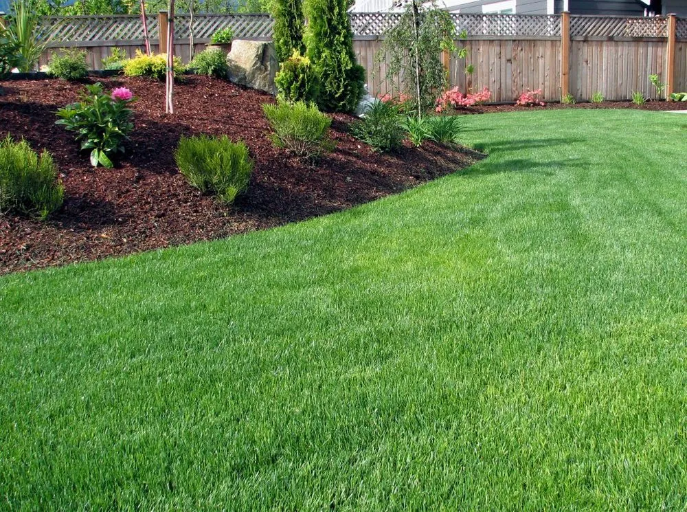 Professional lawn mowing service experts serving Milwaukee, WI - Blown Away