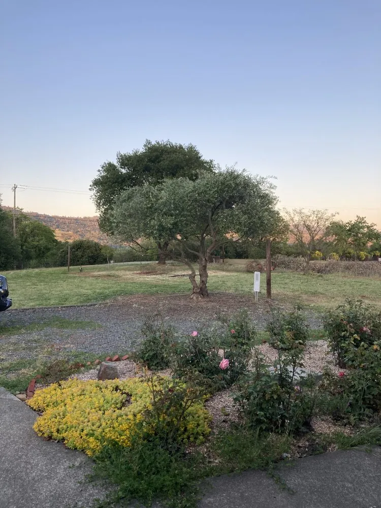 Affordable garden landscaping for year-round maintenance in Santa Rosa, CA by Blown Away Pressure Washing & Landscape Maintenance