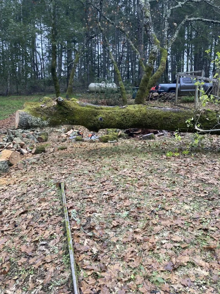 Reliable residential landscaping for beautiful yards across Santa Rosa, CA - Blown Away Pressure Washing & Landscape Maintenance