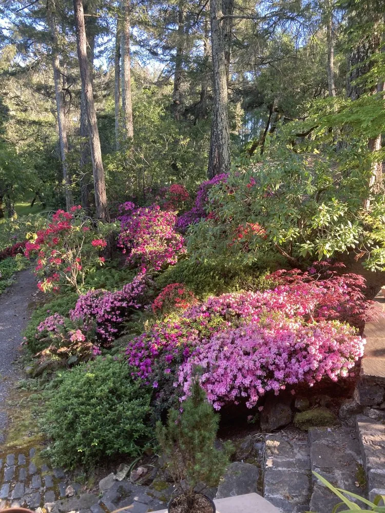 Local outdoor landscaping with custom design across Santa Rosa, CA - Blown Away Pressure Washing & Landscape Maintenance