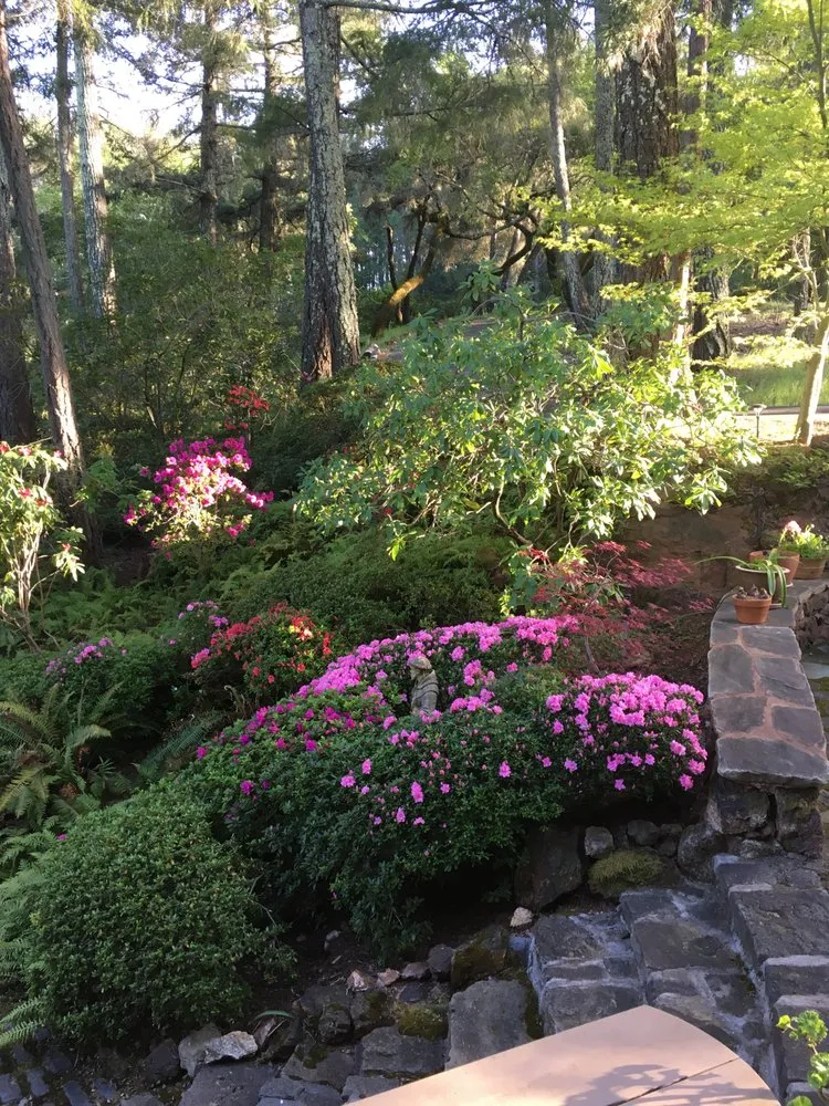 Trusted lawn care service for residential properties in Santa Rosa, CA by Blown Away Pressure Washing & Landscape Maintenance