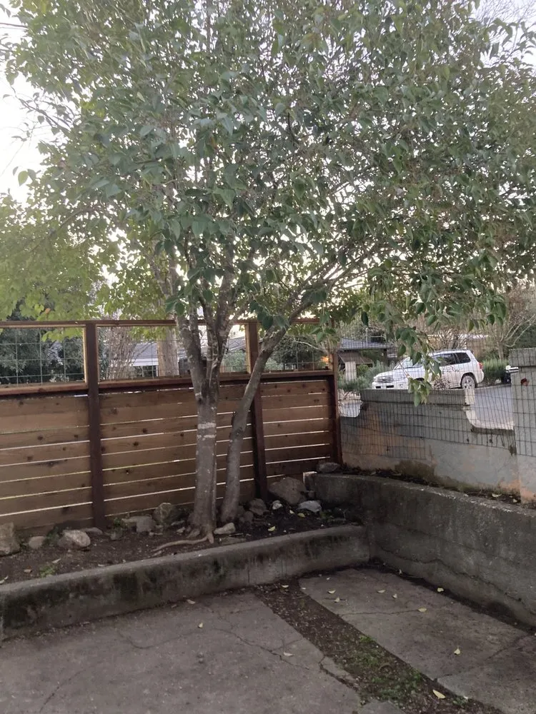 Reliable landscaping services in Santa Rosa, CA - Blown Away Pressure Washing & Landscape Maintenance