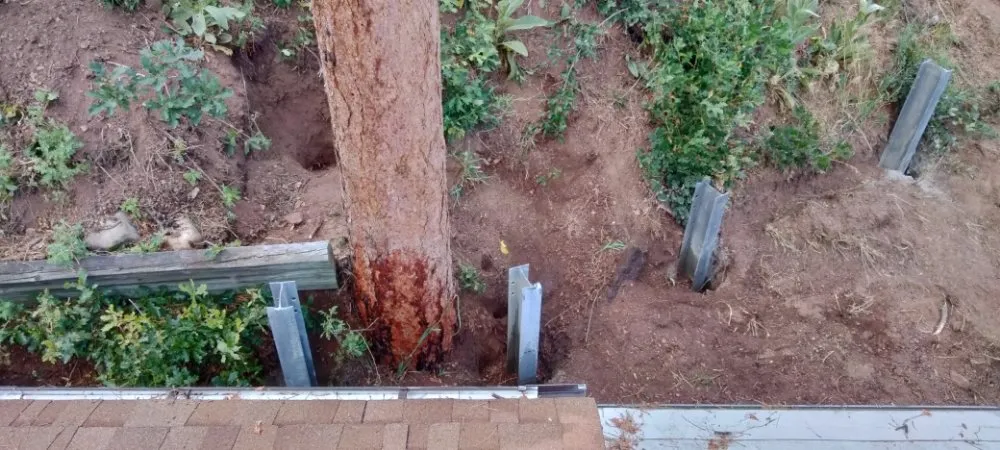 Professional yard cleanup service near you across Colorado Springs, CO - Blred Landscape Solutions