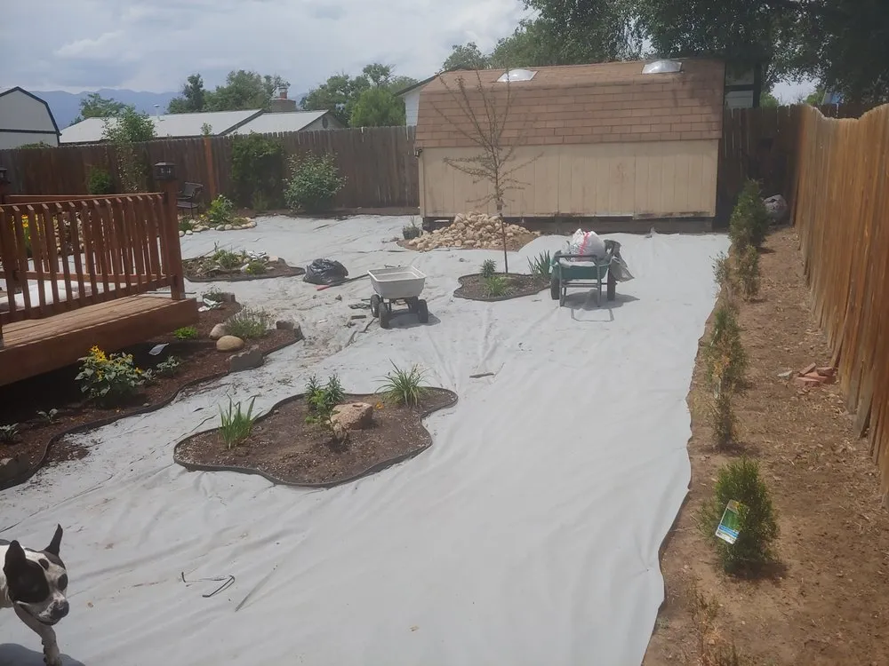 Reliable lawn care service for outdoor upgrades across Colorado Springs, CO - Blred Landscape Solutions