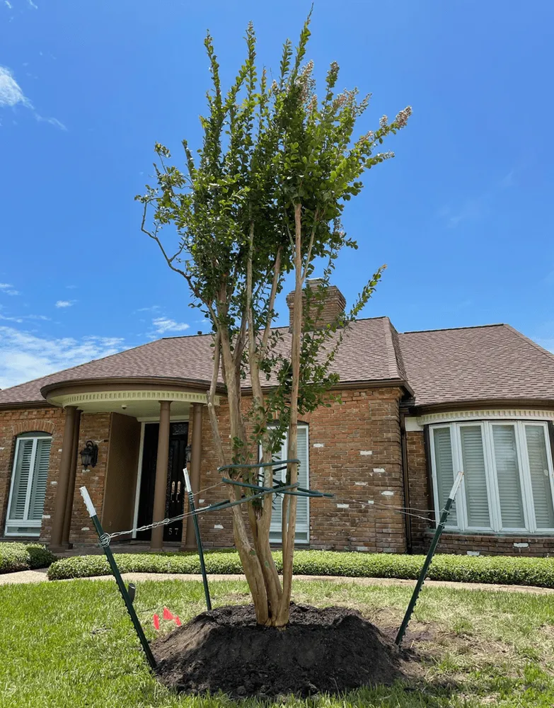Local outdoor landscaping for homes across San Leon, TX - BLT Landscapes