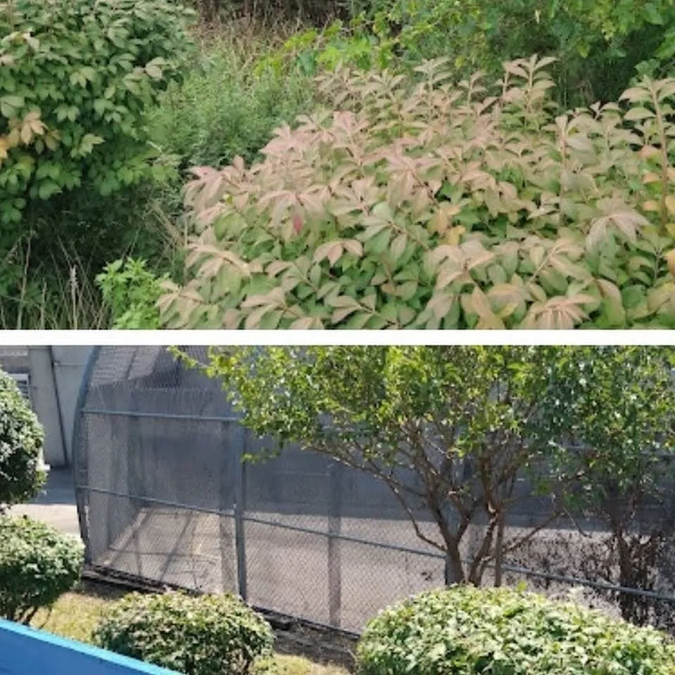 Trusted yard maintenance experts serving Philadelphia, PA - BLT Landscaping