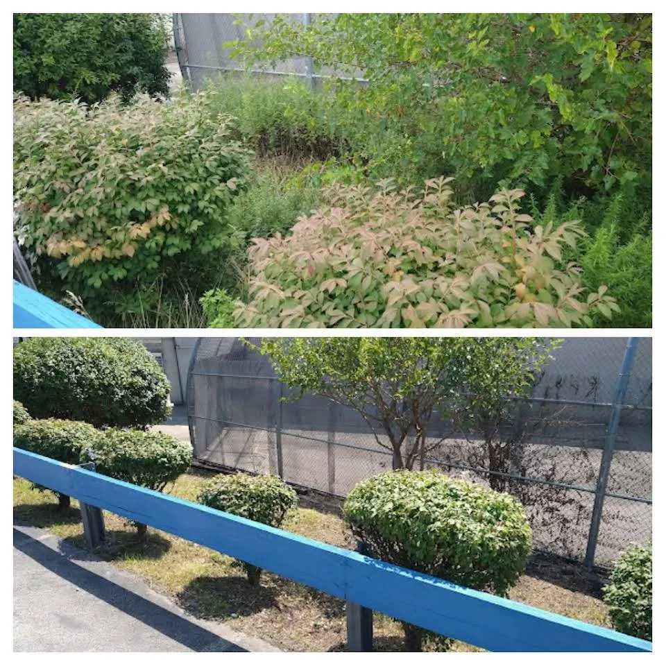 Professional lawn mowing service for homes across Philadelphia, PA - BLT Landscaping