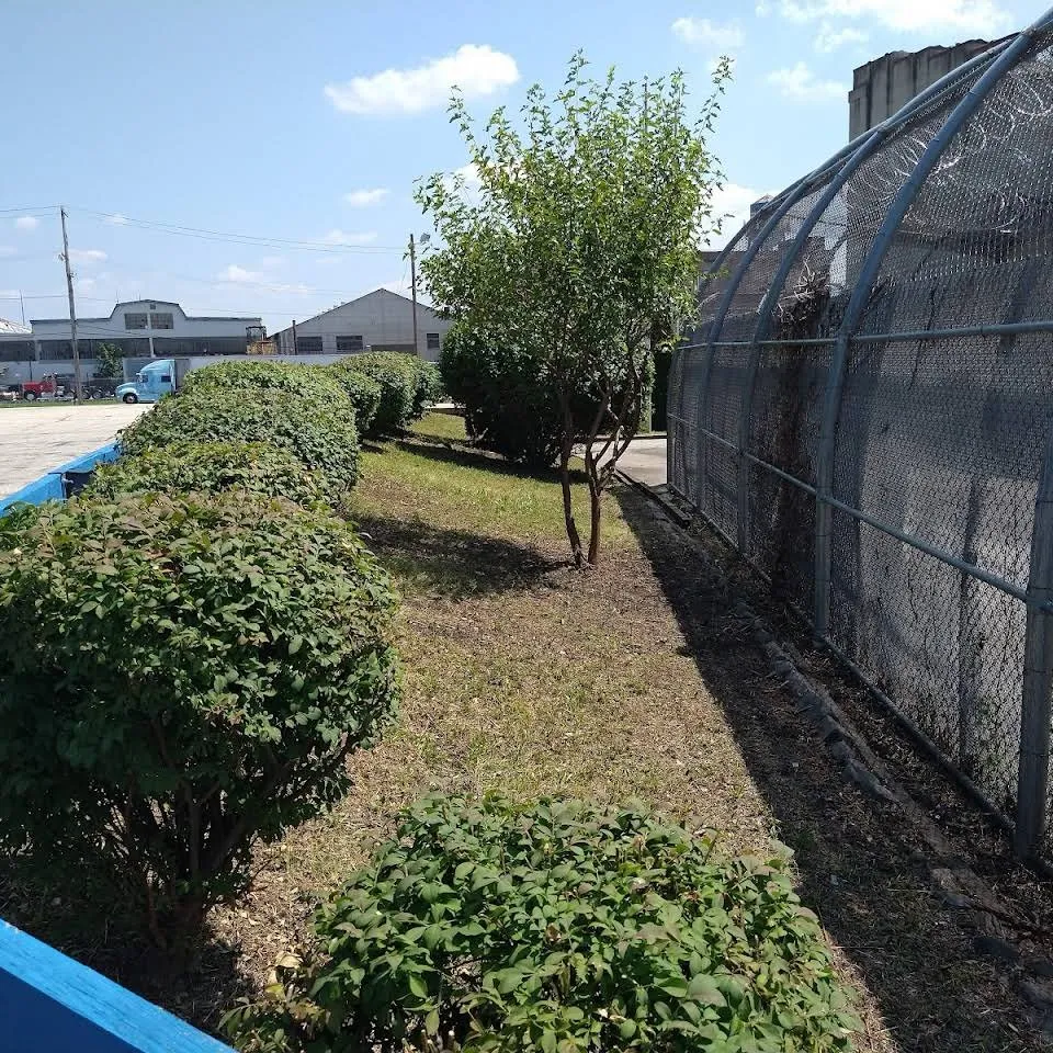 Trusted yard maintenance experts serving Philadelphia, PA - BLT Landscaping