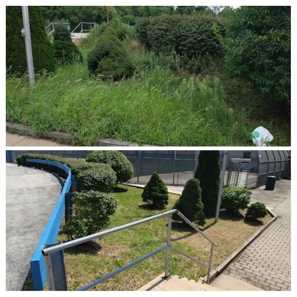 Custom landscape installation for beautiful yards across Philadelphia, PA - BLT Landscaping