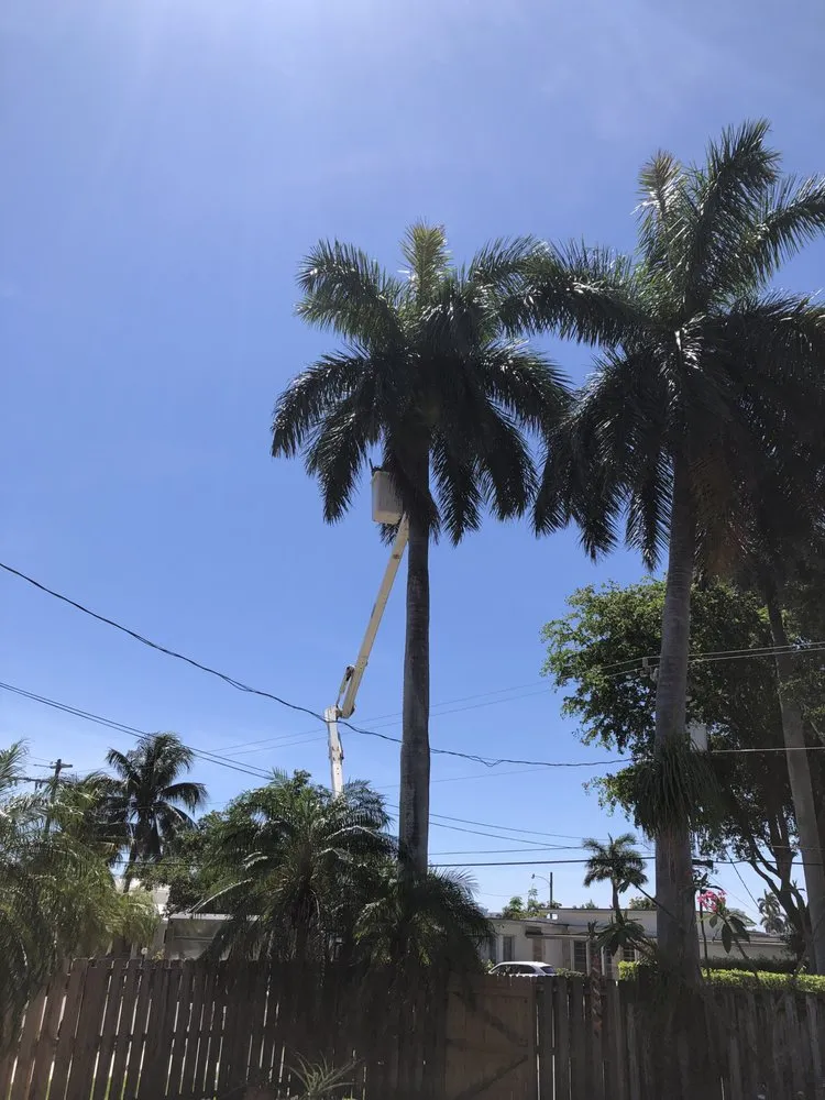 Local garden landscaping in Hollywood, FL by BLT Lawncare