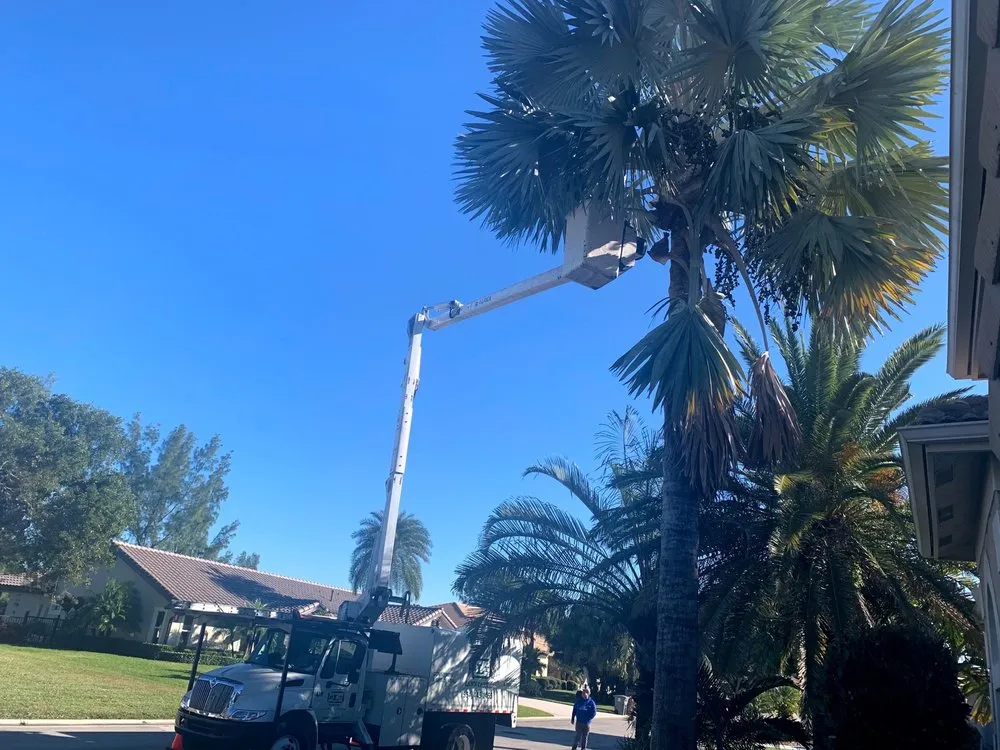 Custom outdoor landscaping for homes in Hollywood, FL by BLT Lawncare