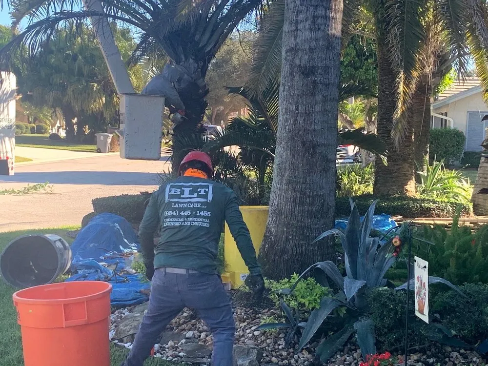 Expert outdoor landscaping in Hollywood, FL - BLT Lawncare