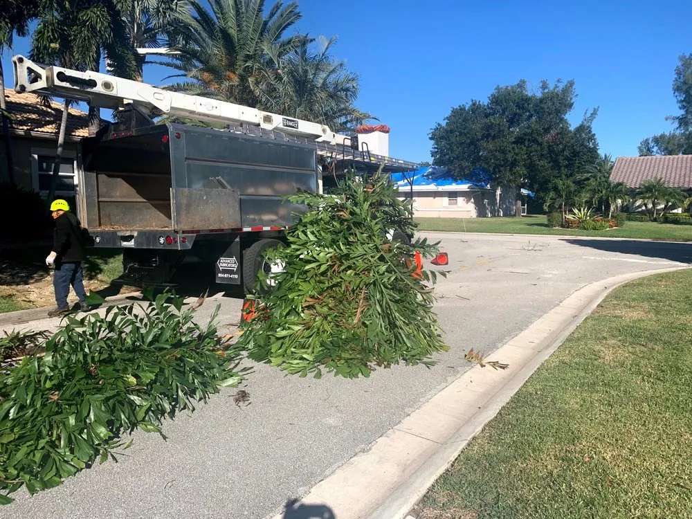 Affordable yard maintenance with custom design across Hollywood, FL - BLT Lawncare