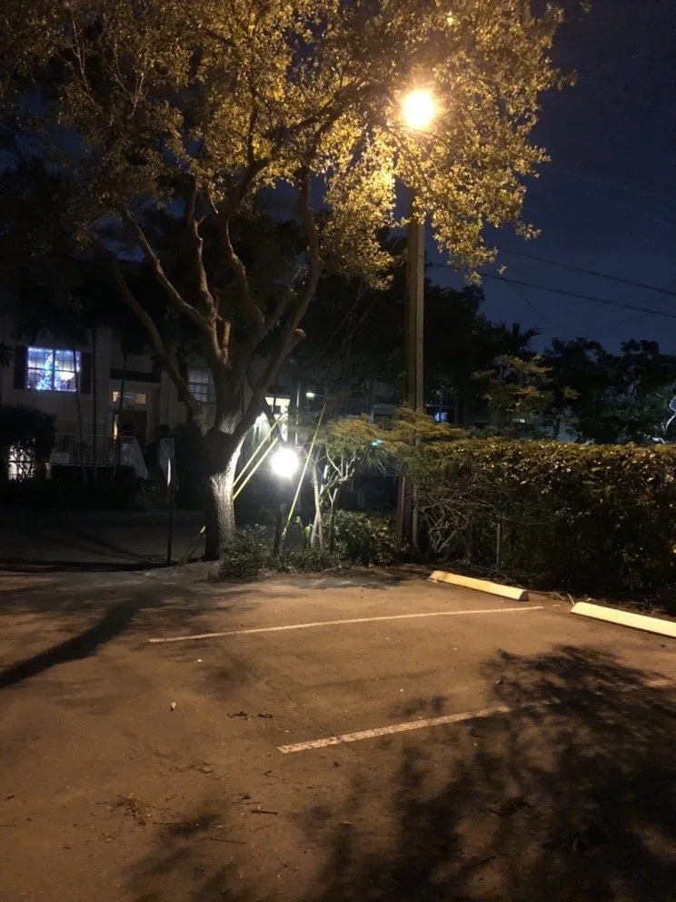 Local outdoor landscaping experts serving Hollywood, FL - BLT Lawncare