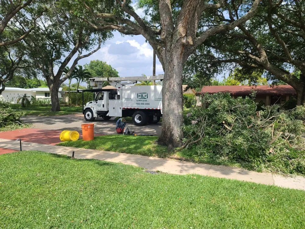 Custom landscaping services for outdoor upgrades across Hollywood, FL - BLT Lawncare