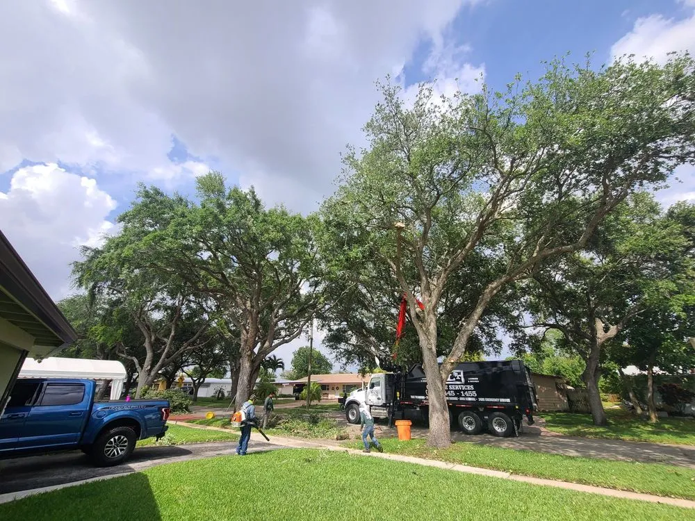 Custom outdoor landscaping in Hollywood, FL by BLT Lawncare