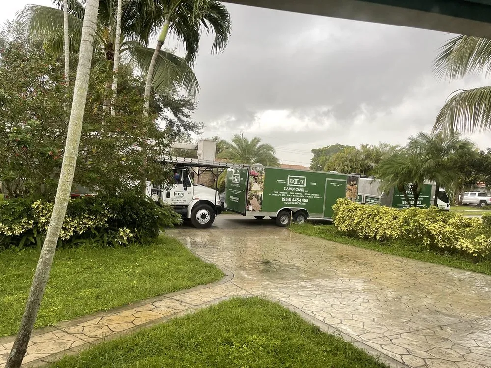 Reliable yard cleanup service experts serving Hollywood, FL - BLT Lawncare