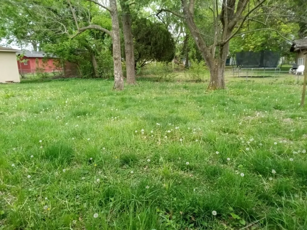 Top-rated lawn mowing service in Marionville, MO - Blu Dog Landscaping and Lawn Service