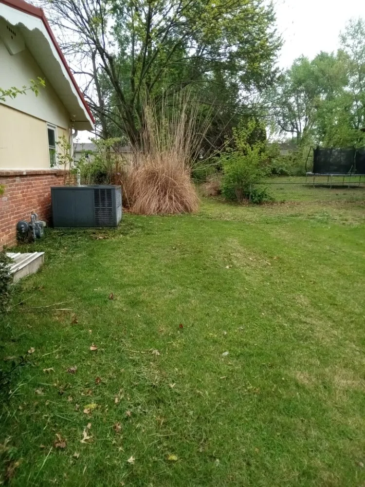 Top-rated outdoor landscaping in Marionville, MO by Blu Dog Landscaping and Lawn Service