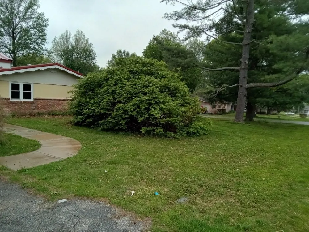 Local yard maintenance near you in Marionville, MO by Blu Dog Landscaping and Lawn Service