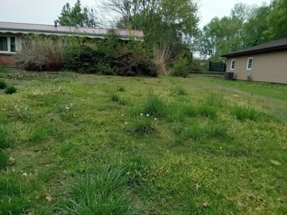 Affordable lawn care service for homes across Marionville, MO - Blu Dog Landscaping and Lawn Service