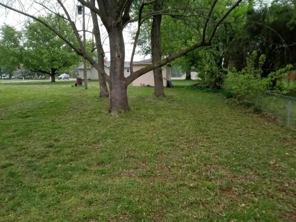 Reliable yard cleanup service for residential properties in Marionville, MO by Blu Dog Landscaping and Lawn Service