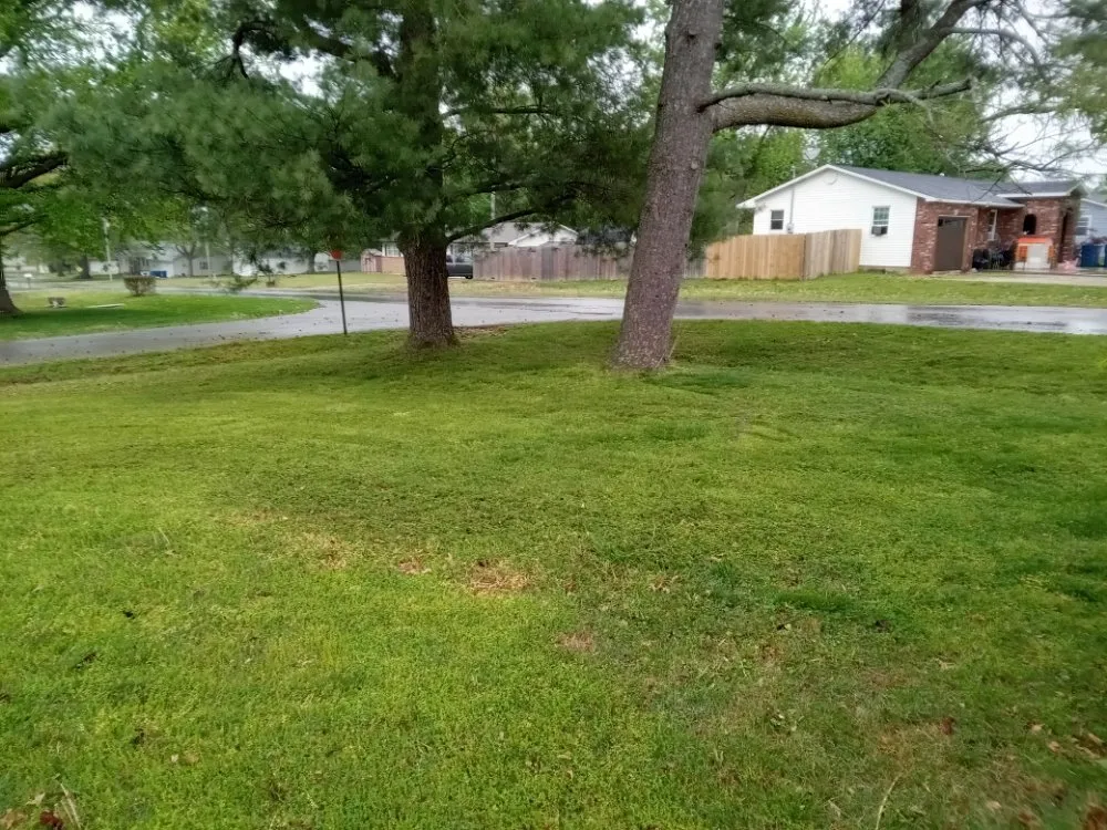 Reliable lawn mowing service experts serving Marionville, MO - Blu Dog Landscaping and Lawn Service