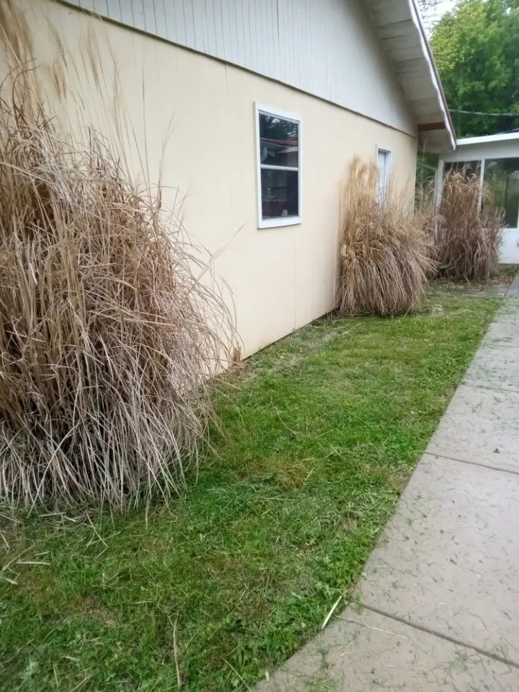 Trusted yard maintenance experts serving Marionville, MO - Blu Dog Landscaping and Lawn Service