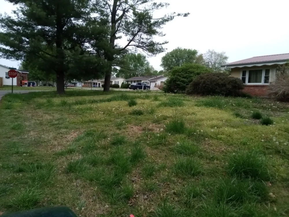 Custom residential landscaping experts serving Marionville, MO - Blu Dog Landscaping and Lawn Service