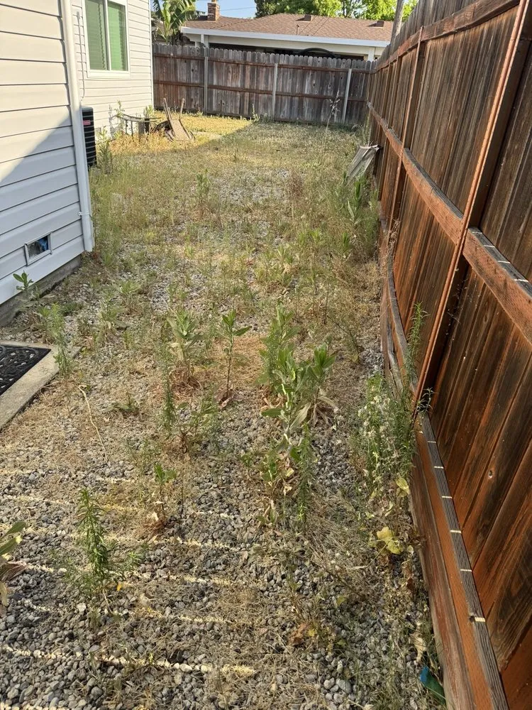 Expert landscape installation for beautiful yards in Citrus Heights, CA by Blu Garden