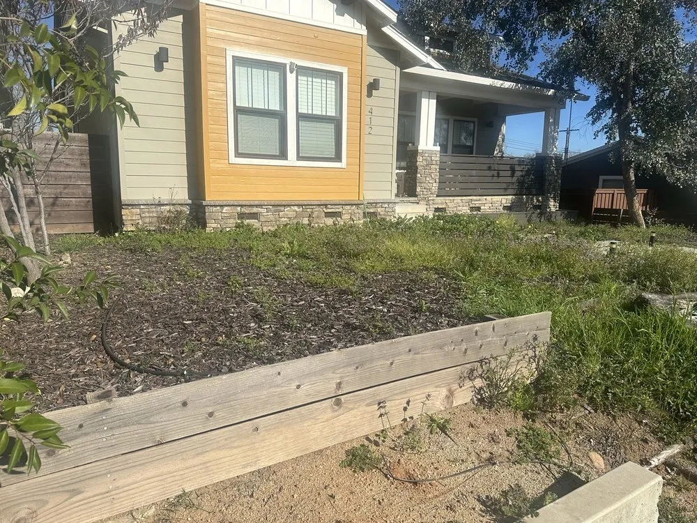 Top-rated yard cleanup service for beautiful yards across Citrus Heights, CA - Blu Garden