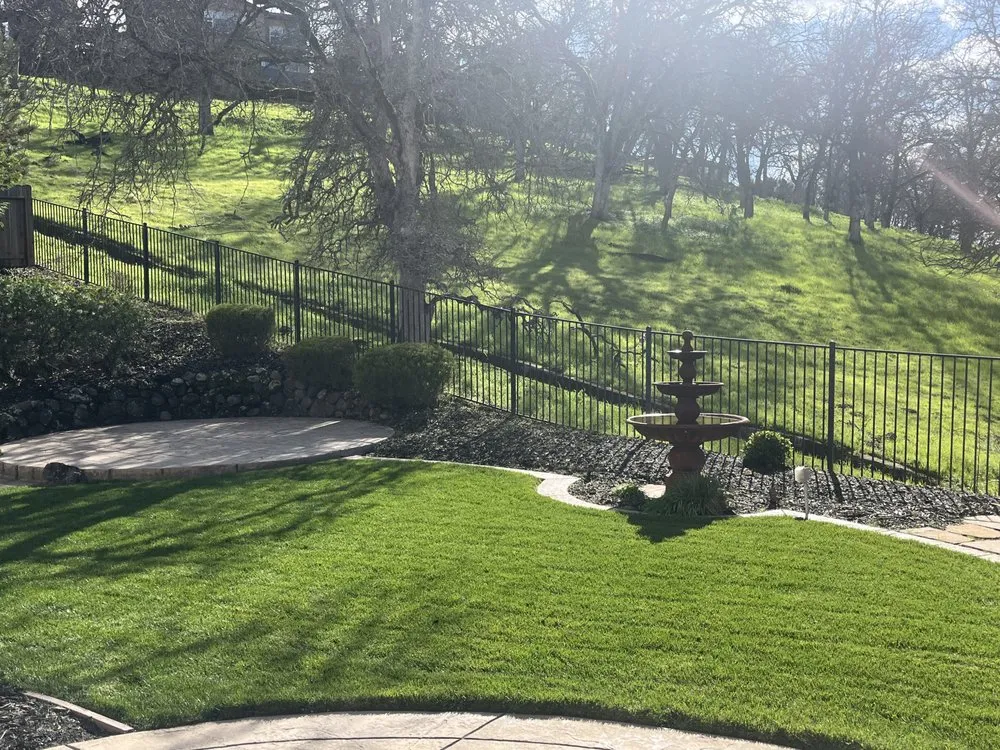 Custom yard cleanup service experts serving Citrus Heights, CA - Blu Garden
