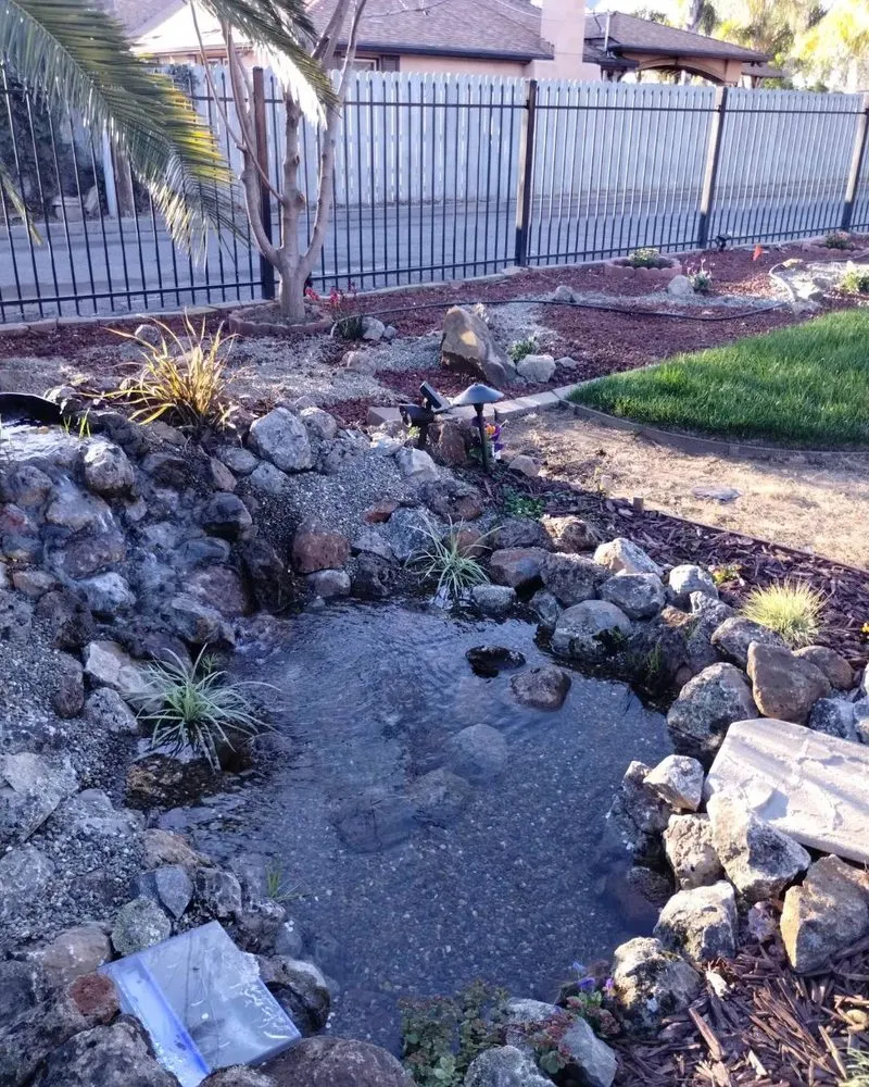 Local residential landscaping in Citrus Heights, CA - Blu Garden