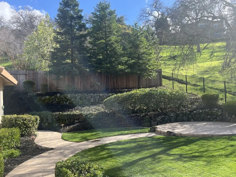 Local garden landscaping in Citrus Heights, CA by Blu Garden